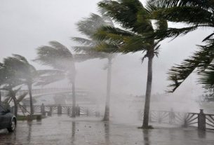 thống kê các cơn bão đổ bộ vào Việt Nam